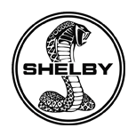 Shelby Quiz