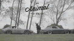 These Datsun 240Zs Are Animals to Drive