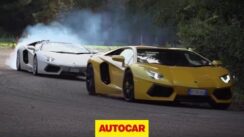 Lamborghini Aventador Snake Handling Challenge